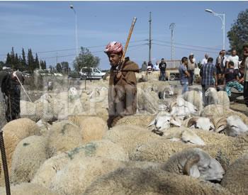 Un autre rendez-vous qui vous étrille