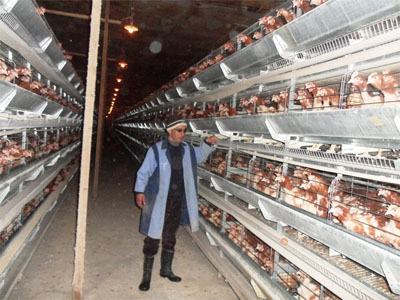 Inquiétude des petits éleveurs