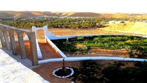 عرض تجربة إنجاز القصر الجديد 