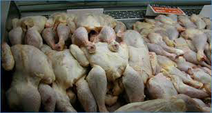 زيارات مفاجئة وغير مبررة لأسعار اللحوم البيضاء قبيل عيد الأضحى