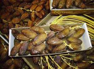 Récolte dattière à Biskra