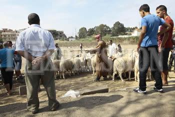 Les ménages face aux priorités
