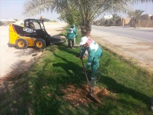 عرض 102 هكتار للاستثمار الاقتصادي بعنابة