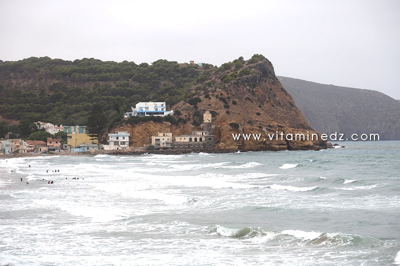 AIN TEMOUCHENT : L’aquarium de Béni Saf nage dans la platitude