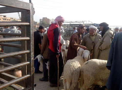 توافد كبير بسوق تيارت وأسعار تحرق الجيوب