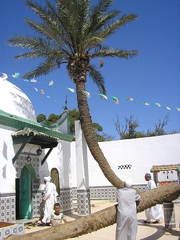 BEN KHELOUF Sidi Lakhdar (16 és) - Barde et mystique.