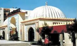 Djelfa. Un nom mystérieux