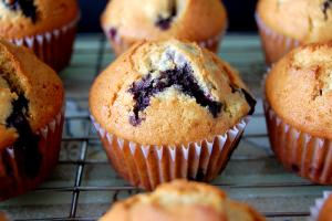 Blueberry Muffins