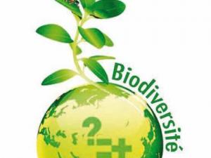 Environnement et santé : Constantine à l'heure de la biodiversité