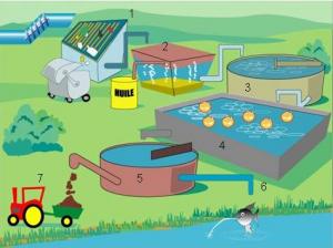 Oran - Assainissement : Six stations d'épuration pour 2012