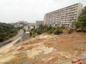 Destruction du Bois des Pins (Alger) : Qui est le prédateur ?