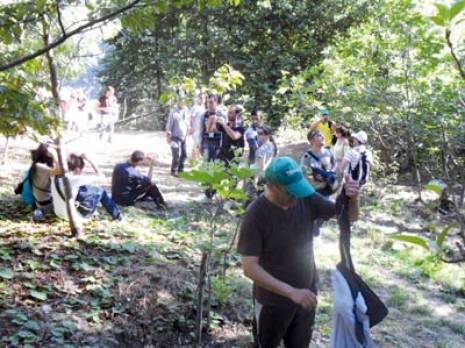 Illilten (Tizi Ouzou) - Festival de la montagne et du tourisme