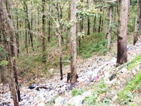 Wilaya de Tizi Ouzou - Les massifs forestiers dépérissent