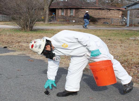 Planète - Pluie d'oiseaux morts à la Réunion