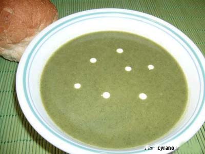 Crème d'épinard