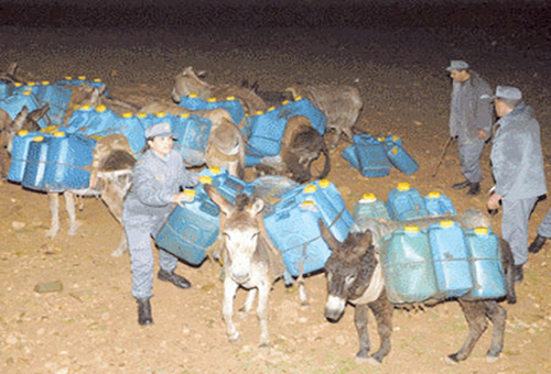 OU VA LE CARBURANT DE MAGHNIA : Pénuries et tracasseries des usagers de la route
