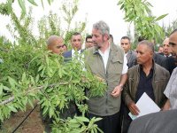 « Tous les agriculteurs doivent avoir leurs actes »