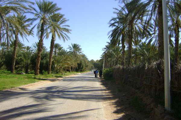 أزيد من 12 مليارا خصصت للحديقة النباتية حوّلت عن وجهتها بالوادي