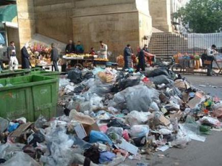 3 آلاف عون للتكفل بفضلات الأضاحي و9 وحدات للإبلاغ عن النقاط السوداء بالعاصمة
