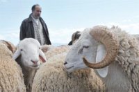 La foule ne se bouscule pas