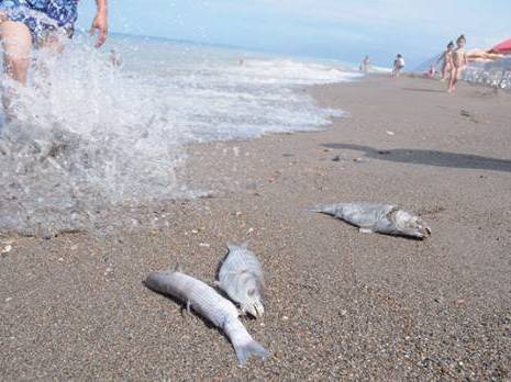 Oued Soummam (Béjaïa)