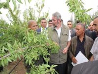 « L'heure est à la construction d'une économie agricole intégrée »