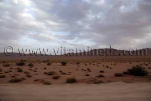 Au cœur des zones steppiques de Tlemcen à Naâma