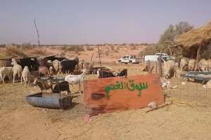 تباين في الحكم على أسعار الأضاحي بالوادي