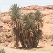 Naâma  Des sites paradisiaques