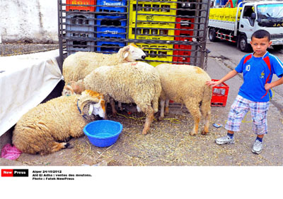 Hausse des prix, saleté et anarchie