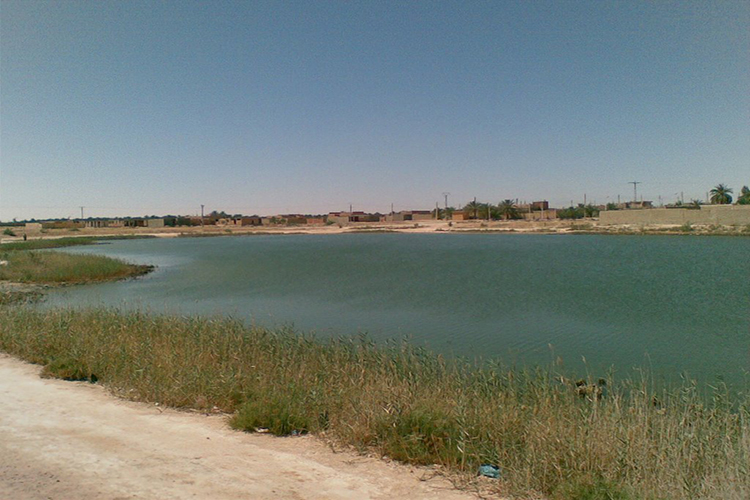 نفوق أسماك عقب انهيار حاجز مائي والفلاحون يناشدون التدخل العاجل للمسؤولين بالمسيلة