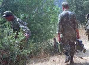 8 terroristes abattus en un mois