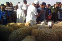 La région n'est plus « une plaque tournante » du crime