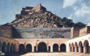 LA FORET DES PLANTEURS D'ORAN