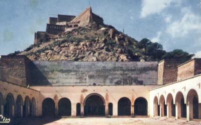 LA FORET DES PLANTEURS D'ORAN