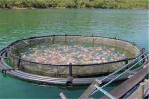 توجه نحو تطوير نشاط تربية الأسماك في إطار الفلاحة المدمجة بتمنراست