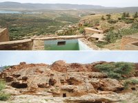 El Maleh, au raisin gonflé de soleil