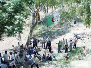 Affrontements entre policiers et riverains : Cinq blessés au Bois des Pins
