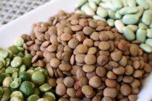 Chlef - Culture de légumes secs : Une première expérience réussie