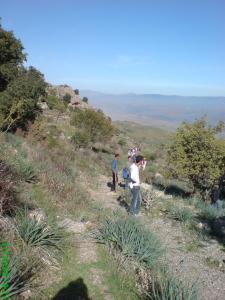 Ibn Ziad - Un incendie ravage depuis samedi la forêt de Chettaba : La piste criminelle privilégiée