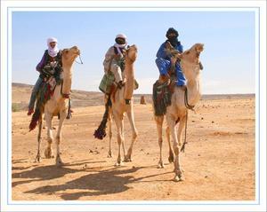 Activités touristiques à Ouargla : Bientôt un club équestre