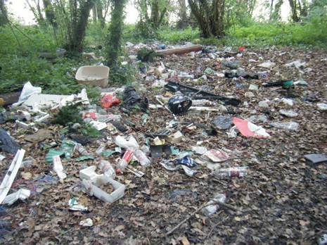 Tizi Ouzou - Décharge interdite ' : Film documentaire sur l'environnement