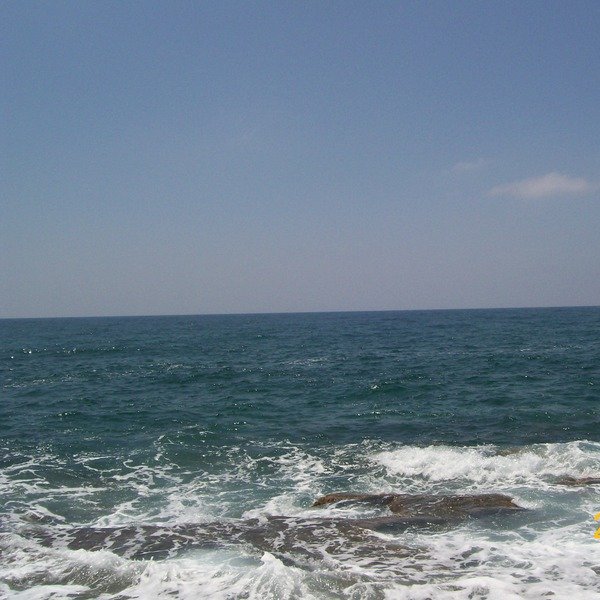 الجزائر تنفي تقريرا فرنسيا يتهمها بتلويث البحر المتوسط