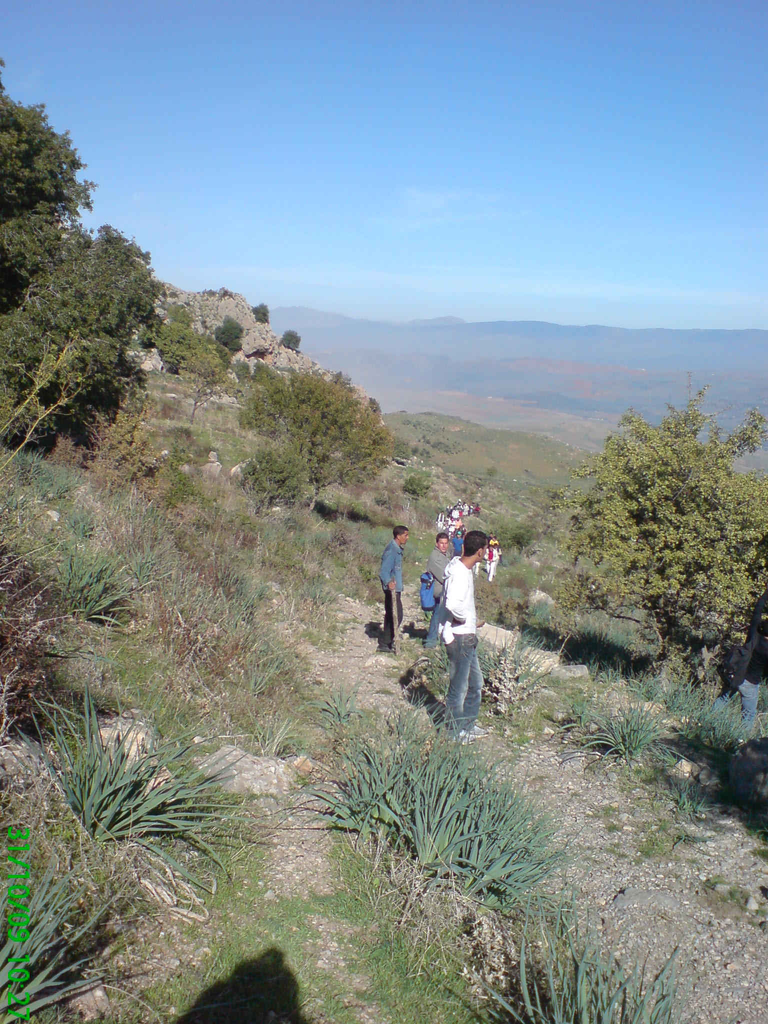 Ibn Ziad - Un incendie ravage depuis samedi la forêt de Chettaba : La piste criminelle privilégiée