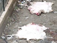 Une richesse et un patrimoine en péril