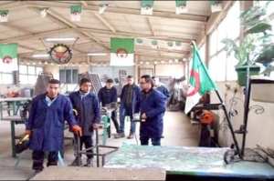 Près de 7000 postes pédagogiques offerts à Oum El-Bouaghi