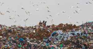 مفرغة عمومية في فرمالة بين تمالوس وسيدي مزغيش بسكيكدة