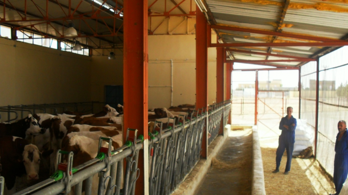 La ferme école de la COOPSEL de Sétif