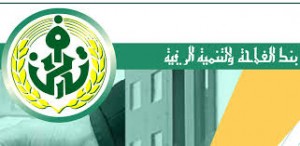 مجلس قضاء العاصمة