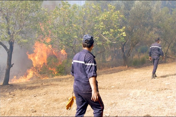 Douze hectares de forêt et 4200 bottes de foin brûlés